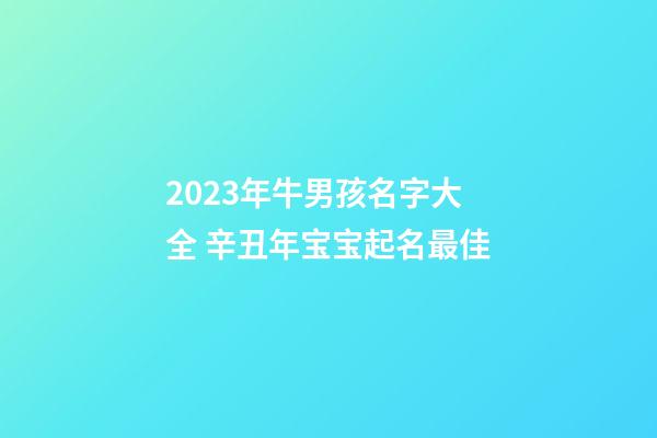 2023年牛男孩名字大全 辛丑年宝宝起名最佳